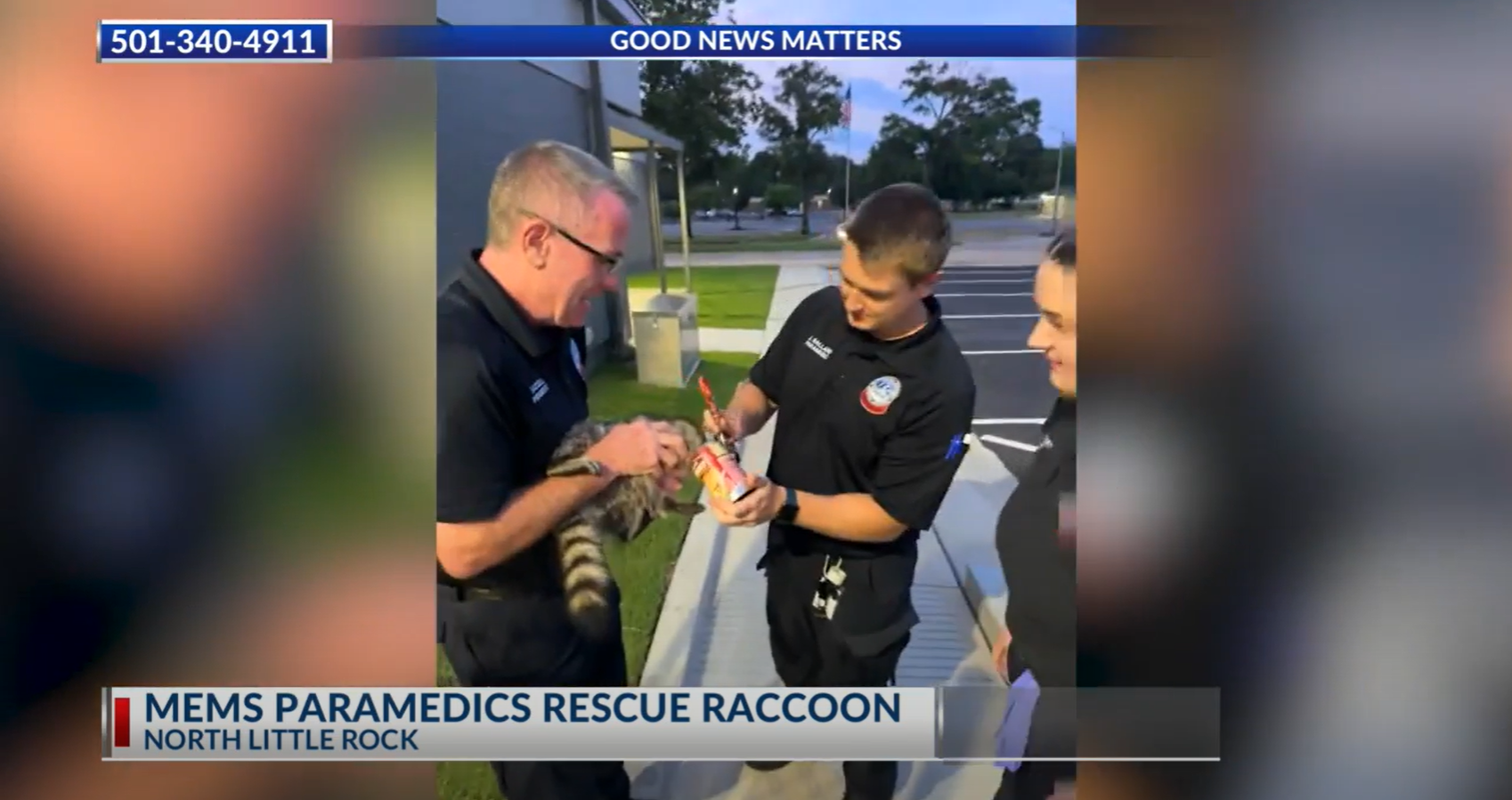 Raccoon rescued from soup can by MEMS